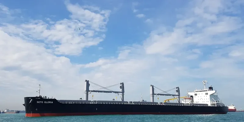 SHARP ISLAND Bulk Carrier IMO 9748370 photo 3