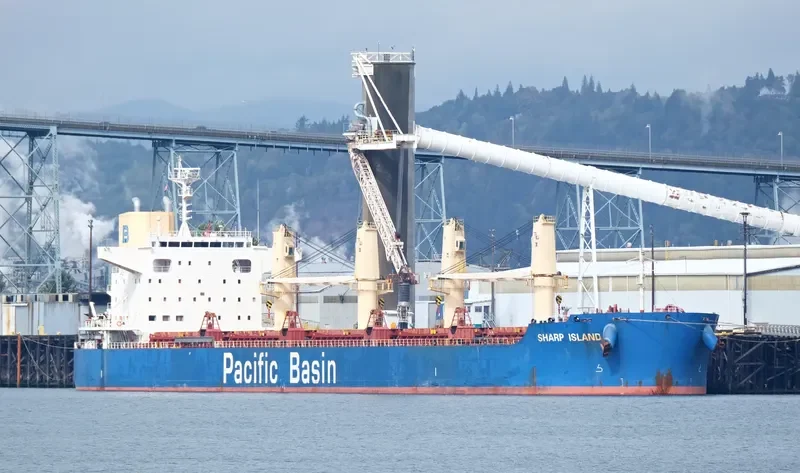 SHARP ISLAND Bulk Carrier IMO 9748370 photo 4