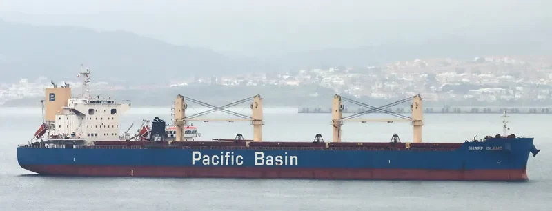 SHARP ISLAND Bulk Carrier IMO 9748370 photo 6