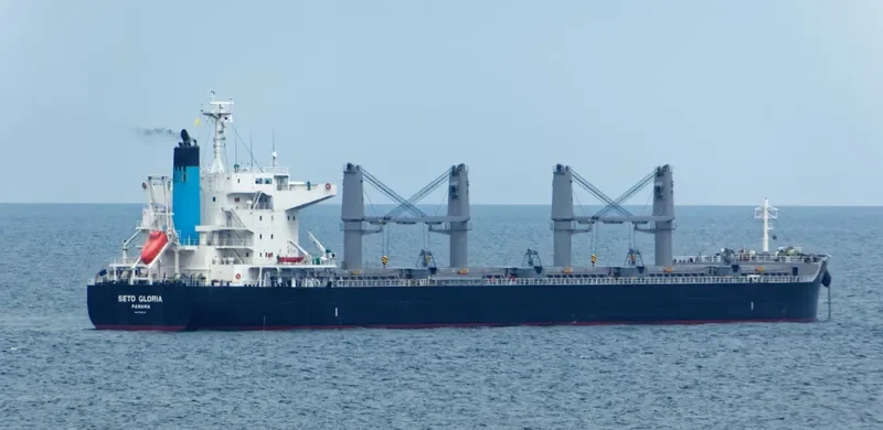 SHARP ISLAND Bulk Carrier IMO 9748370 photo 7