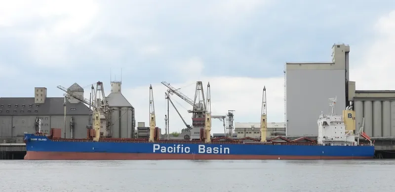 SHARP ISLAND Bulk Carrier IMO 9748370 photo 8
