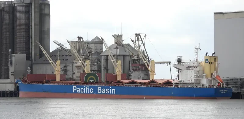 SHARP ISLAND Bulk Carrier IMO 9748370 photo 9