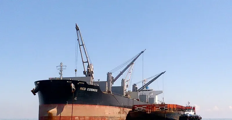 RED COSMOS Bulk Carrier IMO 9748459
