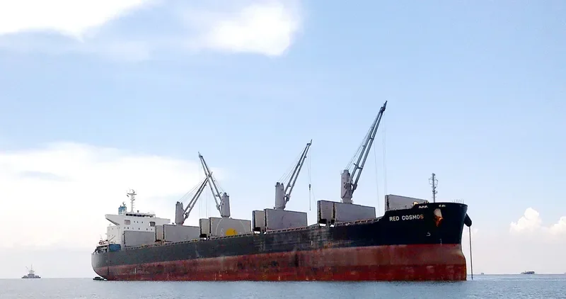 RED COSMOS Bulk Carrier IMO 9748459 photo 2