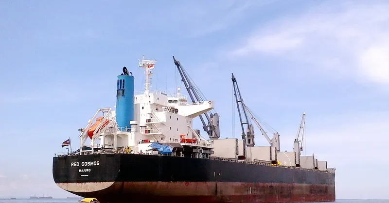 RED COSMOS Bulk Carrier IMO 9748459 photo 3