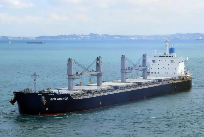 RED COSMOS Bulk Carrier IMO 9748459 photo 5