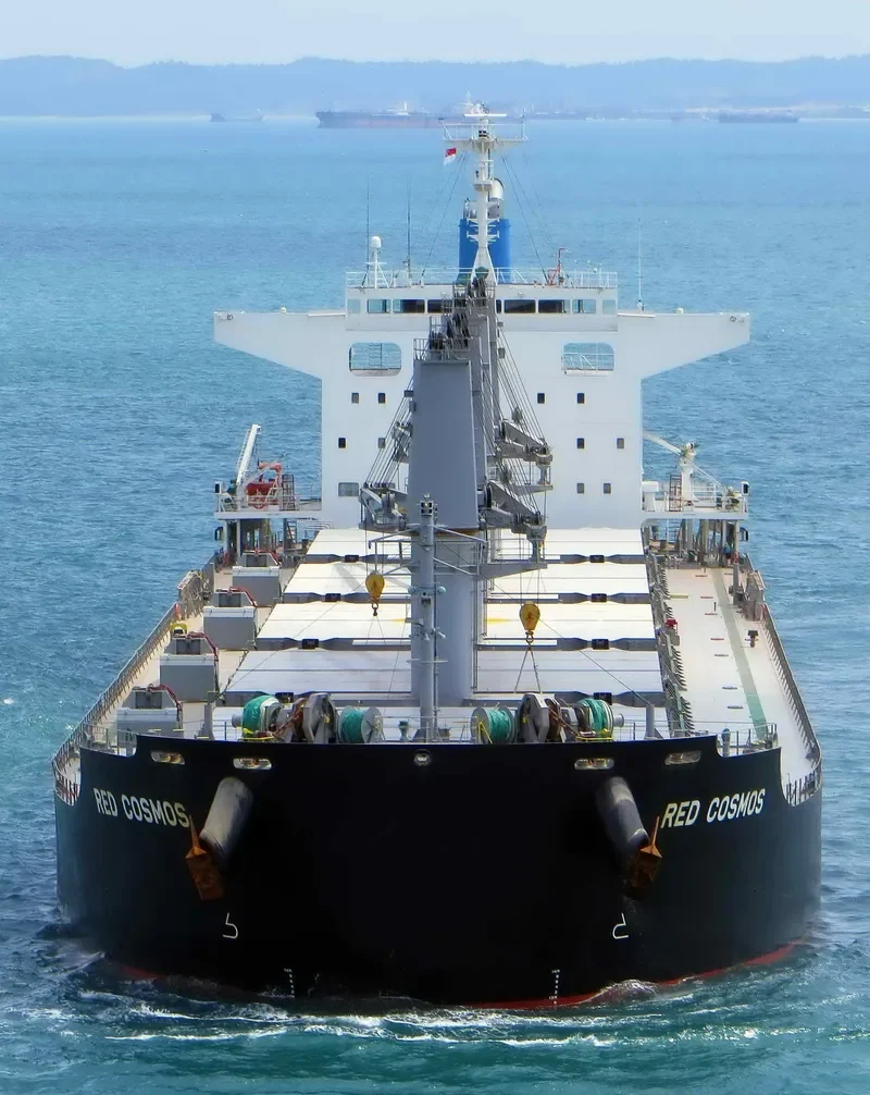RED COSMOS Bulk Carrier IMO 9748459 photo 6