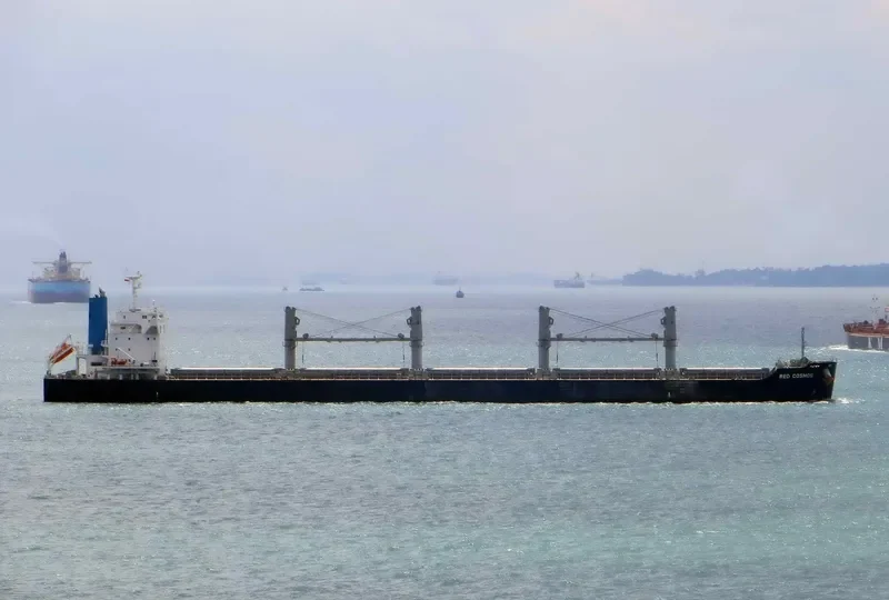 RED COSMOS Bulk Carrier IMO 9748459 photo 8
