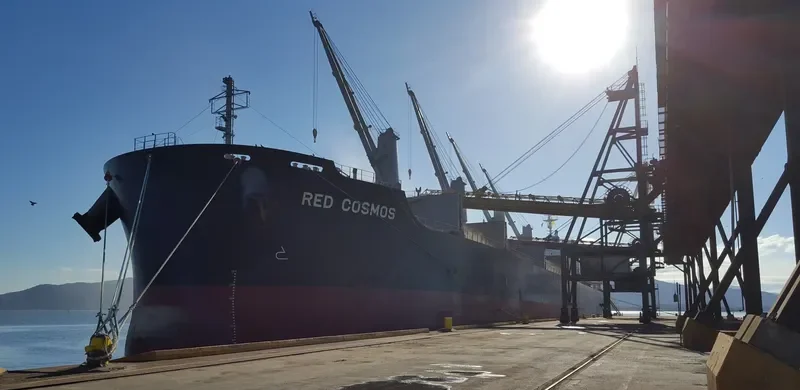 RED COSMOS Bulk Carrier IMO 9748459 photo 9