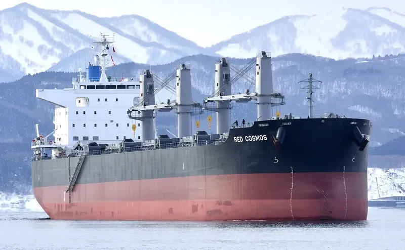 RED COSMOS Bulk Carrier IMO 9748459 photo 10