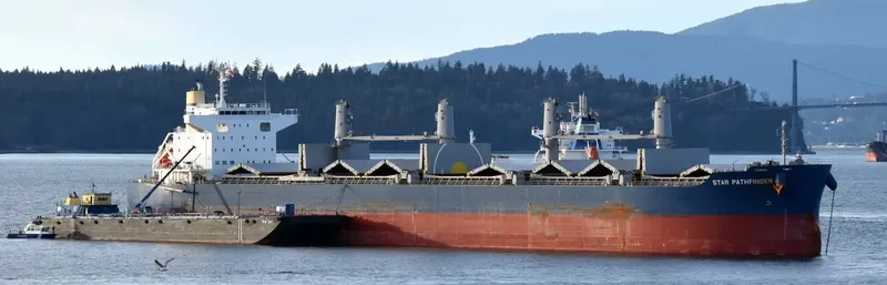 BELHAWK Bulk Carrier IMO 9748461 photo 2