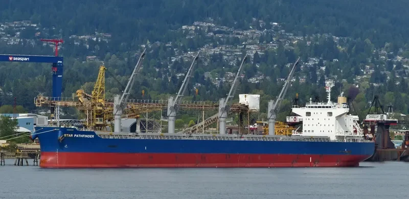 BELHAWK Bulk Carrier IMO 9748461 photo 3
