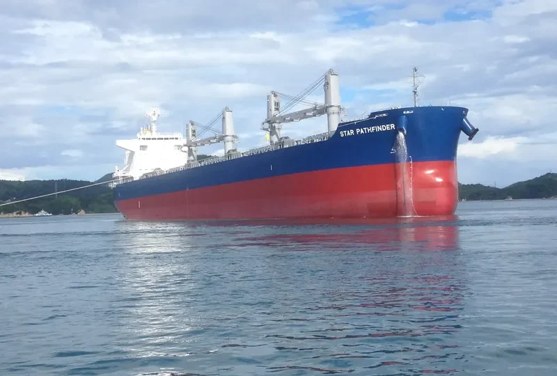 BELHAWK Bulk Carrier IMO 9748461 photo 4
