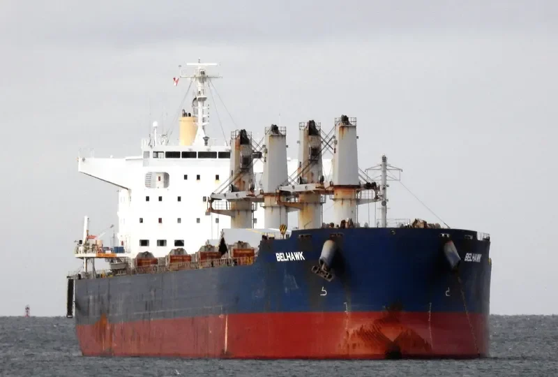 BELHAWK Bulk Carrier IMO 9748461 photo 5