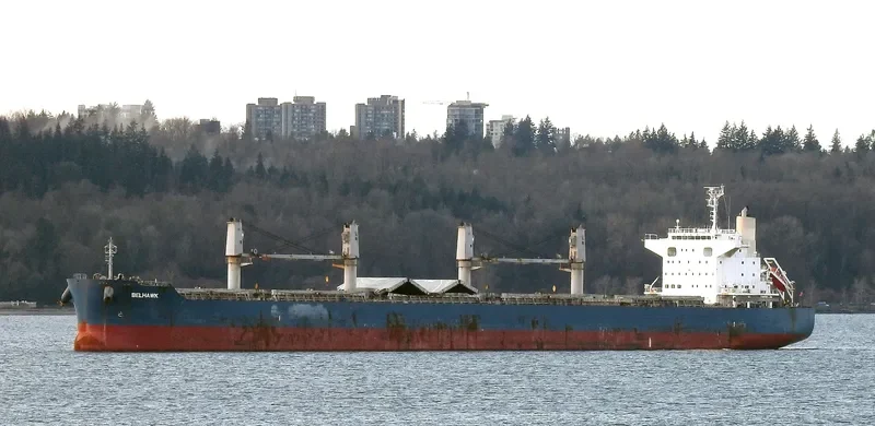 BELHAWK Bulk Carrier IMO 9748461 photo 6