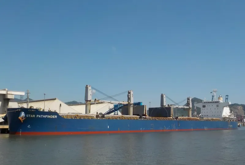 BELHAWK Bulk Carrier IMO 9748461 photo 7