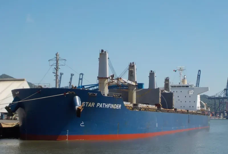 BELHAWK Bulk Carrier IMO 9748461 photo 8