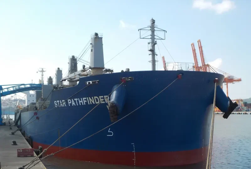 BELHAWK Bulk Carrier IMO 9748461 photo 9