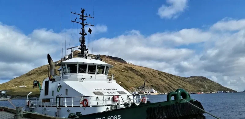 MICHELE FOSS General Cargo IMO 9748564 photo 2