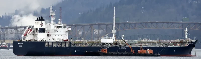 ALFRED N Tanker IMO 9749324 photo 7