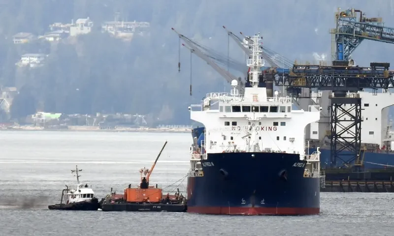 ALFRED N Tanker IMO 9749324 photo 10