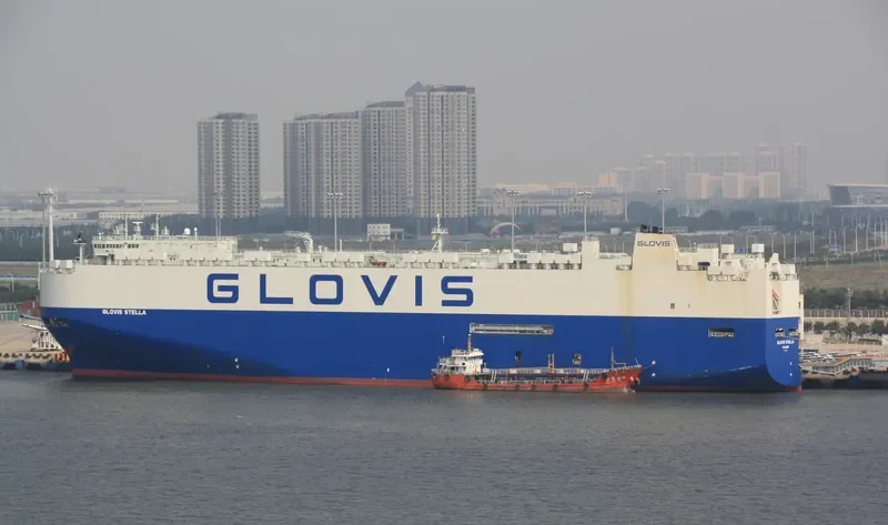 GLOVIS STELLA General Cargo IMO 9749570