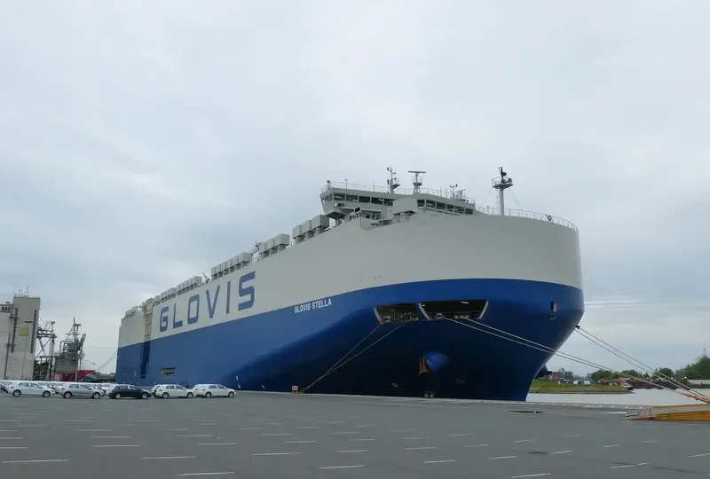 GLOVIS STELLA General Cargo IMO 9749570 photo 3