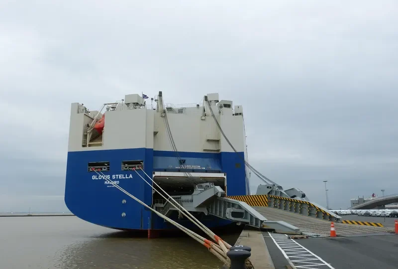 GLOVIS STELLA General Cargo IMO 9749570 photo 4