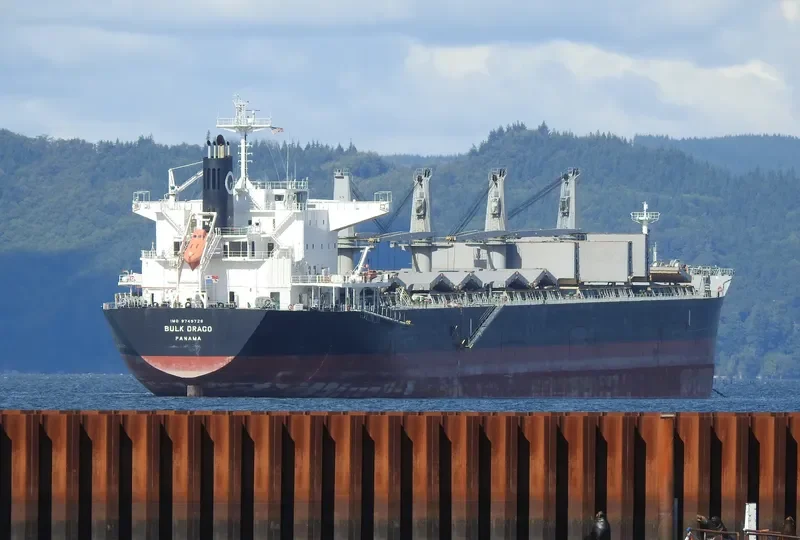BULK DRACO Bulk Carrier IMO 9749726 photo 4