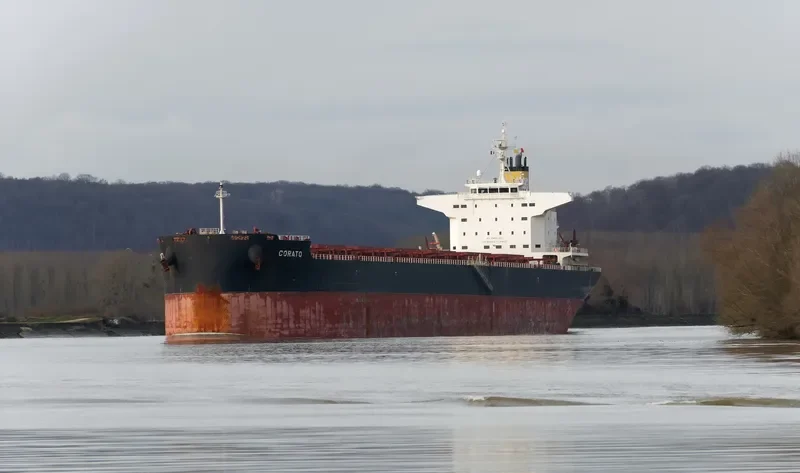 CORATO Bulk Carrier IMO 9749829 photo 8