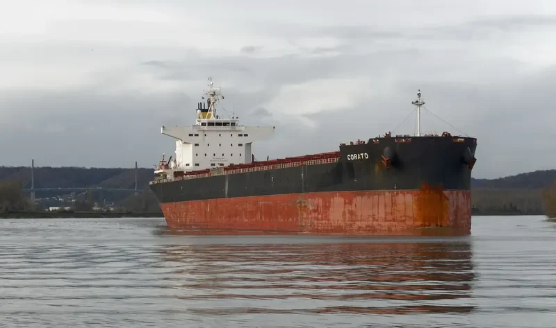 CORATO Bulk Carrier IMO 9749829 photo 9