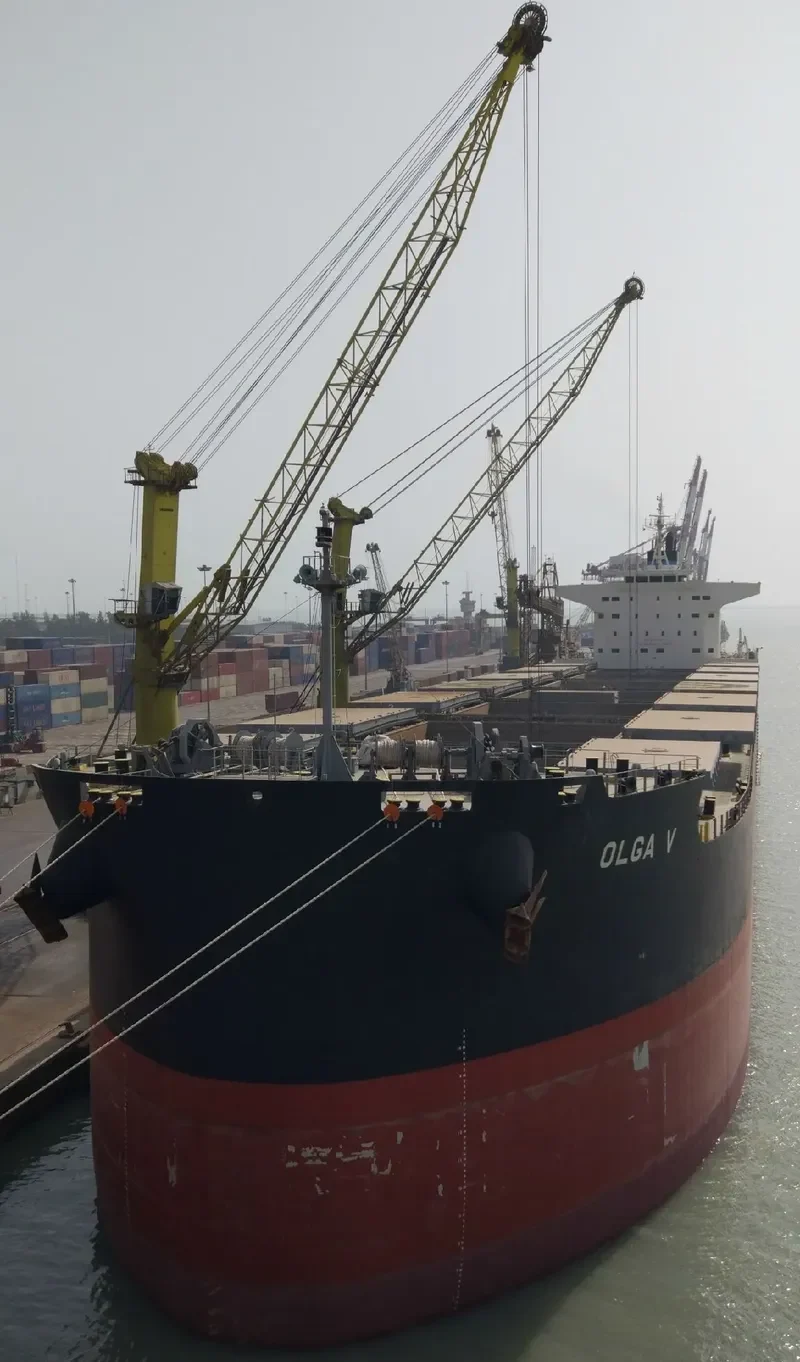DELFIN Bulk Carrier IMO 9749867