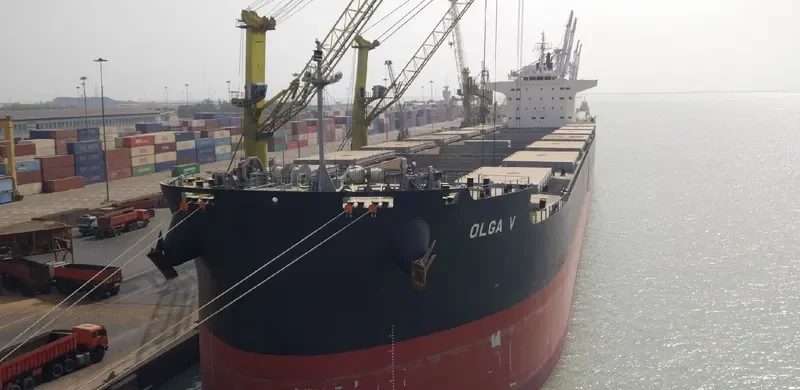 DELFIN Bulk Carrier IMO 9749867 photo 2