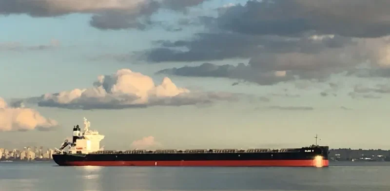 DELFIN Bulk Carrier IMO 9749867 photo 3