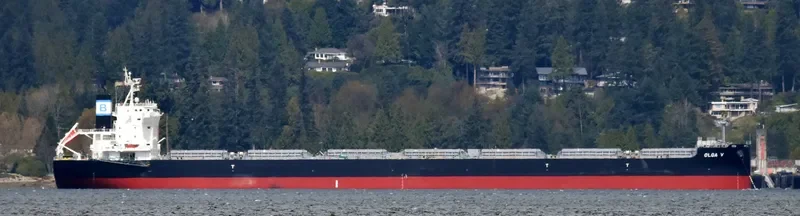 DELFIN Bulk Carrier IMO 9749867 photo 4