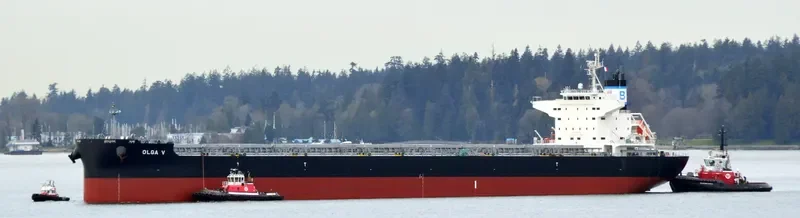 DELFIN Bulk Carrier IMO 9749867 photo 5