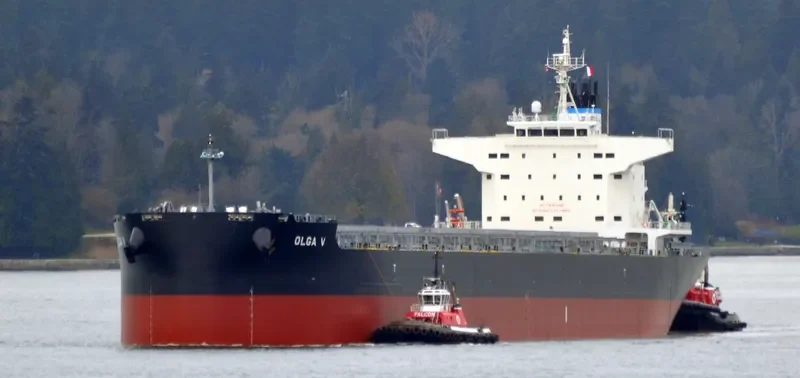 DELFIN Bulk Carrier IMO 9749867 photo 6