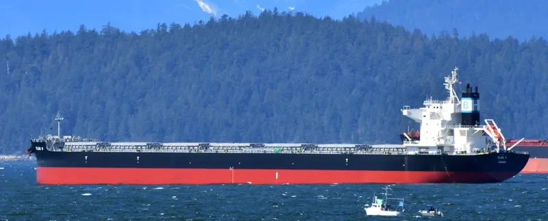 DELFIN Bulk Carrier IMO 9749867 photo 7