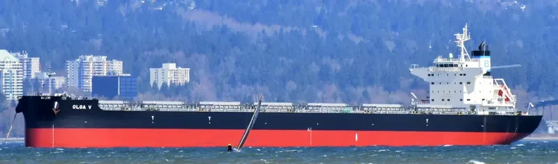 DELFIN Bulk Carrier IMO 9749867 photo 8