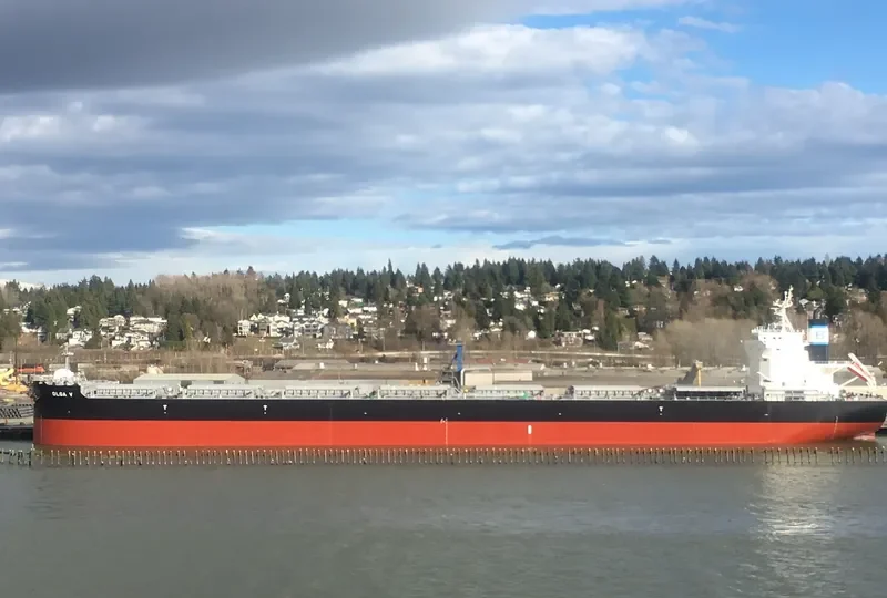 DELFIN Bulk Carrier IMO 9749867 photo 9