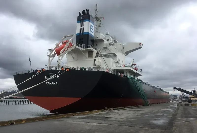 DELFIN Bulk Carrier IMO 9749867 photo 10