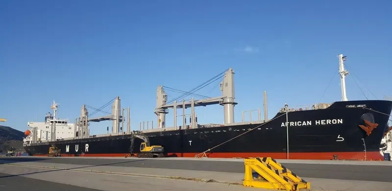 AFRICAN HERON Bulk Carrier IMO 9750000 photo 2