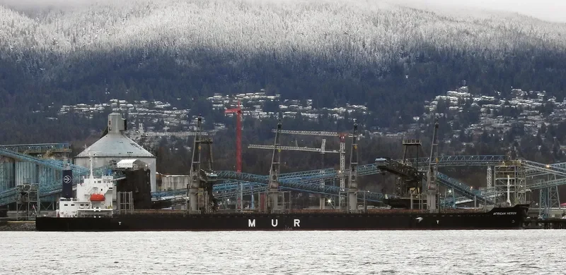 AFRICAN HERON Bulk Carrier IMO 9750000 photo 4