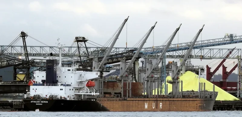 AFRICAN HERON Bulk Carrier IMO 9750000 photo 5