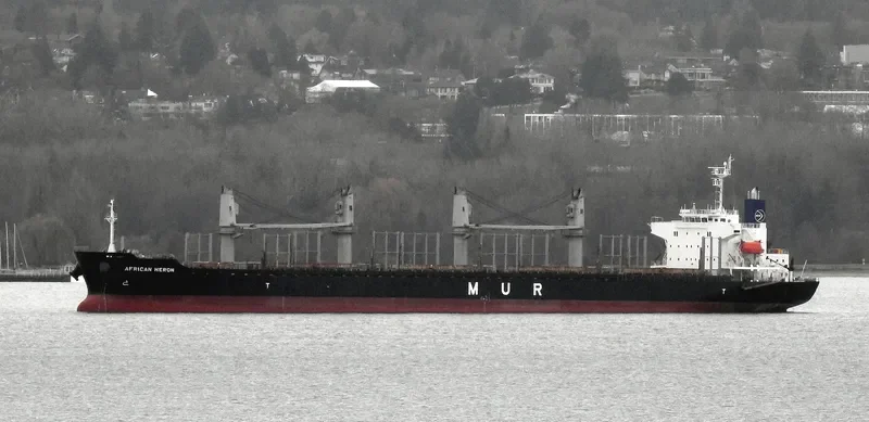AFRICAN HERON Bulk Carrier IMO 9750000 photo 6