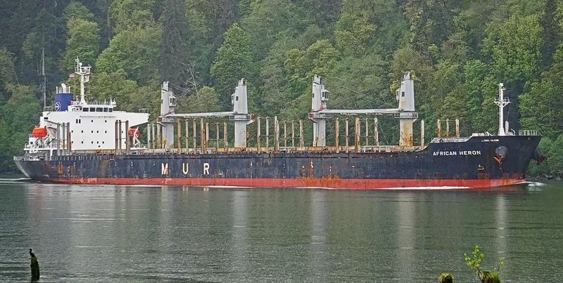 AFRICAN HERON Bulk Carrier IMO 9750000 photo 7