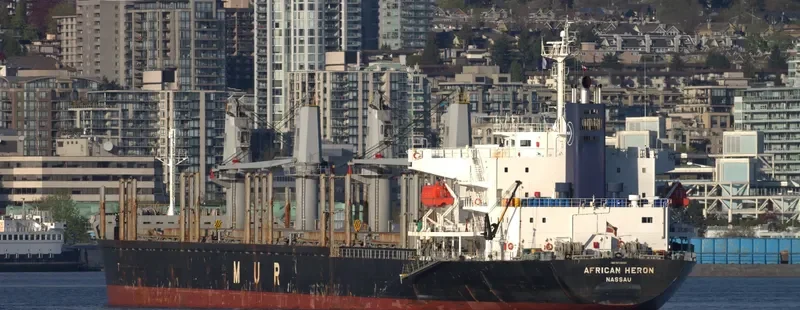 AFRICAN HERON Bulk Carrier IMO 9750000 photo 8