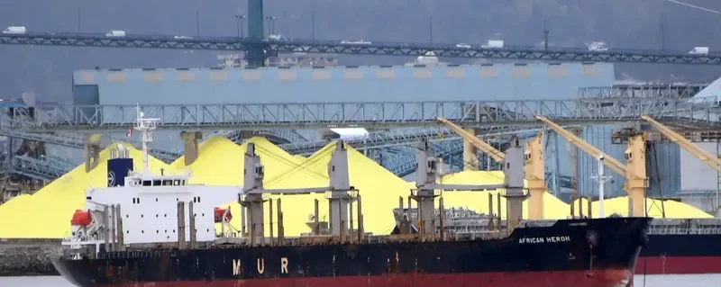 AFRICAN HERON Bulk Carrier IMO 9750000 photo 9