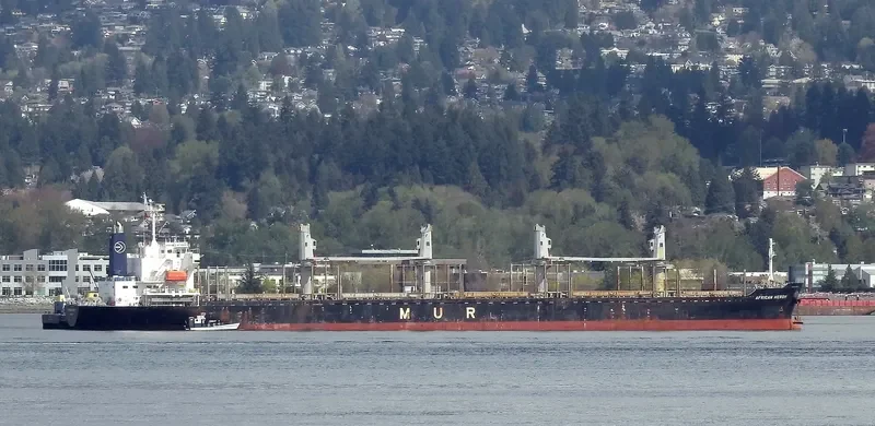 AFRICAN HERON Bulk Carrier IMO 9750000 photo 10