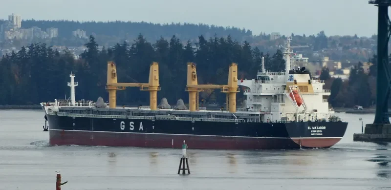 EL MATADOR Bulk Carrier IMO 9750048 photo 3